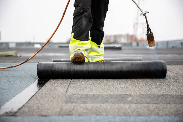 Best Roof Leak Repair  in Natalia, TX